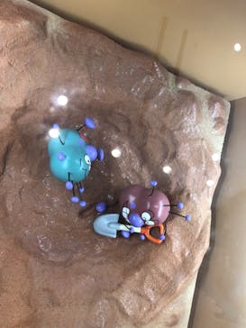 横浜アンパンマンこどもミュージアムに投稿された画像（2021/8/20）