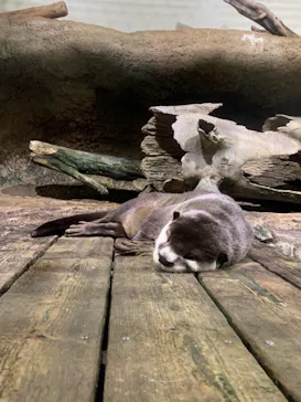 仙台うみの杜水族館に投稿された画像（2021/8/20）