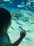 サンシャイン水族館に投稿された画像（2021/8/20）
