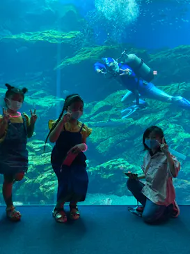 仙台うみの杜水族館に投稿された画像（2021/8/20）