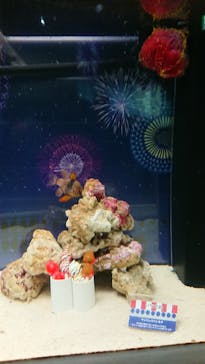 マクセル アクアパーク品川に投稿された画像（2021/8/20）