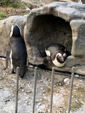 サンシャイン水族館に投稿された画像（2021/8/20）