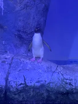 横浜・八景島シーパラダイスに投稿された画像（2021/8/20）