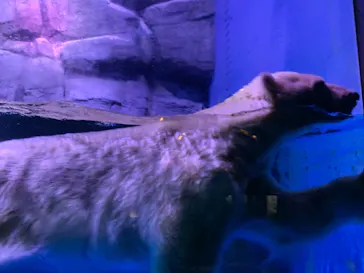 横浜・八景島シーパラダイスに投稿された画像（2021/8/20）