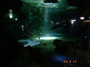 サンシャイン水族館に投稿された画像（2021/8/20）