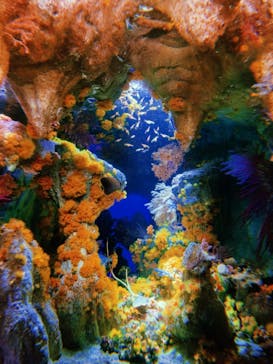 サンシャイン水族館に投稿された画像（2021/8/20）