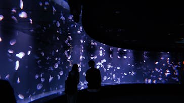 サンシャイン水族館に投稿された画像（2021/8/20）