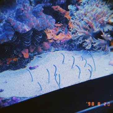 サンシャイン水族館に投稿された画像（2021/8/20）