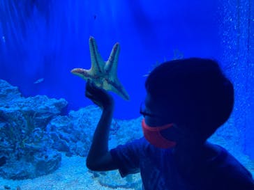 サンシャイン水族館に投稿された画像（2021/8/20）