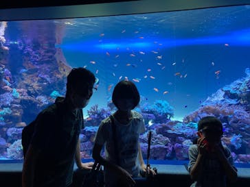 サンシャイン水族館に投稿された画像（2021/8/20）
