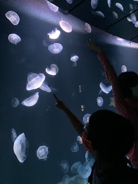サンシャイン水族館に投稿された画像（2021/8/20）
