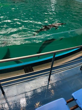 マクセル アクアパーク品川に投稿された画像（2021/8/20）