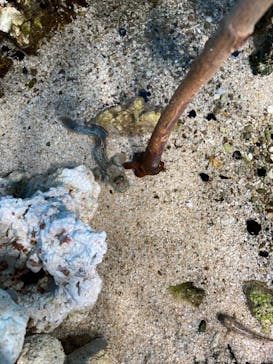 サンシャイン水族館に投稿された画像（2021/8/20）