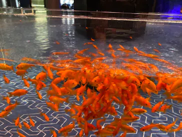 すみだ水族館に投稿された画像（2021/8/21）