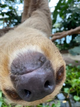 神戸どうぶつ王国に投稿された画像（2021/8/21）