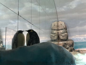 名古屋港水族館に投稿された画像（2021/8/21）