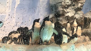 名古屋港水族館に投稿された画像（2021/8/21）