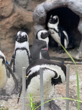 サンシャイン水族館に投稿された画像（2021/8/21）