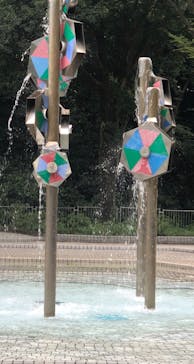 国営昭和記念公園 秋の夜散歩に投稿された画像（2021/8/21）