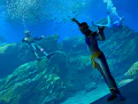 仙台うみの杜水族館に投稿された画像（2021/8/21）