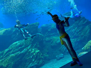 仙台うみの杜水族館に投稿された画像（2021/8/21）