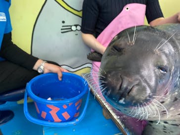 ゼロ距離水族館 伊勢シーパラダイスに投稿された画像（2021/8/21）