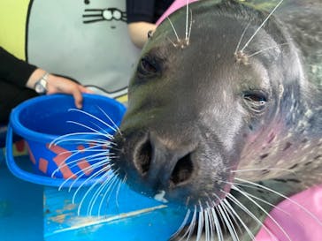 ゼロ距離水族館 伊勢シーパラダイスに投稿された画像（2021/8/21）