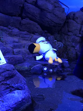 横浜・八景島シーパラダイスに投稿された画像（2021/8/21）