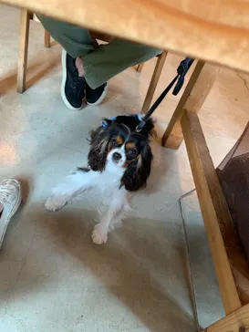 わんダフルネイチャーヴィレッジに投稿された画像（2021/8/21）