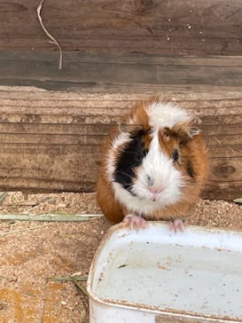 まかいの牧場に投稿された画像（2021/8/21）