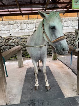 まかいの牧場に投稿された画像（2021/8/21）