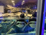 すみだ水族館に投稿された画像（2021/8/21）