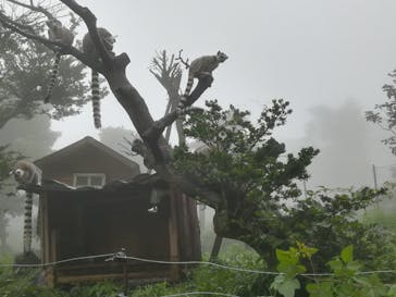 伊豆シャボテン動物公園に投稿された画像（2021/8/21）