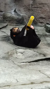 天王寺動物園に投稿された画像（2021/8/21）