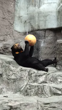 天王寺動物園に投稿された画像（2021/8/21）