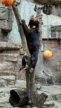 天王寺動物園に投稿された画像（2021/8/21）