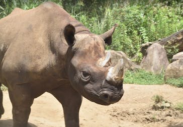 よこはま動物園ズーラシアに投稿された画像（2021/8/21）