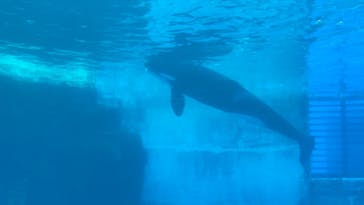 名古屋港水族館に投稿された画像（2021/8/21）