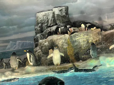 名古屋港水族館に投稿された画像（2021/8/21）