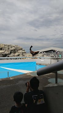 大分マリーンパレス水族館 「うみたまご」に投稿された画像（2021/8/21）