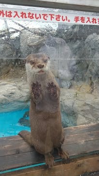 大分マリーンパレス水族館 「うみたまご」に投稿された画像（2021/8/21）