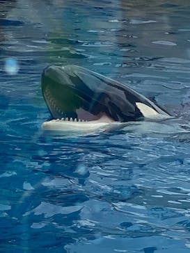 名古屋港水族館に投稿された画像（2021/8/21）