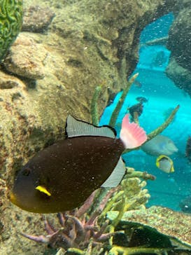 名古屋港水族館に投稿された画像（2021/8/21）