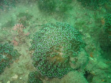 LOVE&BLUE（ラブアンドブルー）に投稿された画像（2021/8/21）