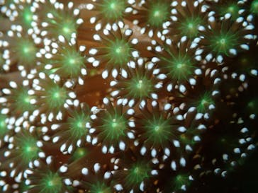 LOVE&BLUE（ラブアンドブルー）に投稿された画像（2021/8/21）