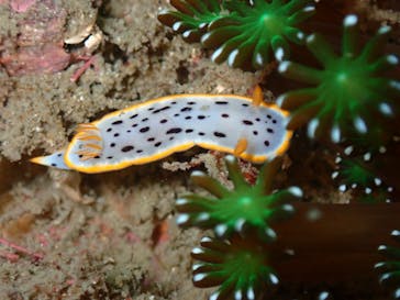 LOVE&BLUE（ラブアンドブルー）に投稿された画像（2021/8/21）