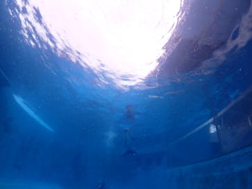 ハンマーズアカデミーに投稿された画像（2021/8/20）