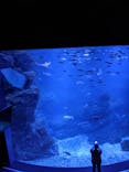 京都水族館に投稿された画像（2021/8/21）