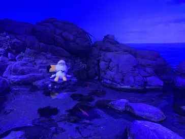 横浜・八景島シーパラダイスに投稿された画像（2021/8/21）