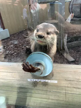 横浜・八景島シーパラダイスに投稿された画像（2021/8/21）